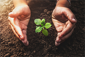 Copercana Sustentável-ESG