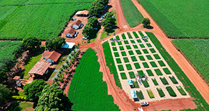 Fazenda Santa Rita
