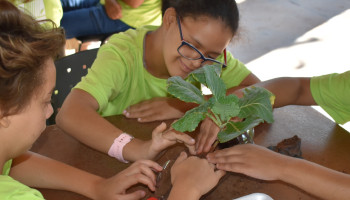 Projeto Plantando o Futuro ensina os alunos a confeccionar hortas sustentáveis reutilizando materiais descartáveis