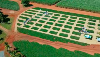 Dia de Campo apresenta novidades em cultivares na Fazenda Santa Rita, em Terra Roxa