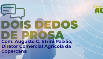 Dois dedo de prosa: Cenário da soja e do amendoim com o diretor comercial agrícola da Copercana, Augusto Paixão 